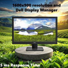 Dell 20