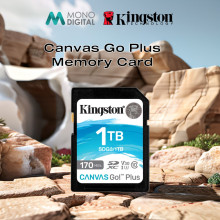 KINGSTON CANVAS GO PLUS SDG3 SD CARD CLASS 10 UHS-I U3 SDXC MEMORY CARD (1TB/ 512GB / 256GB / 128GB / 64GB)